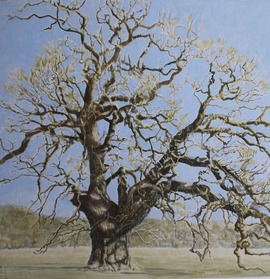 Oak Tree, Windsor Great Park Greetings Card