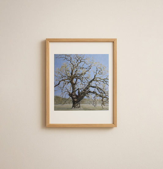 Oak Tree, Windsor Great Park Giclée Fine Art Print