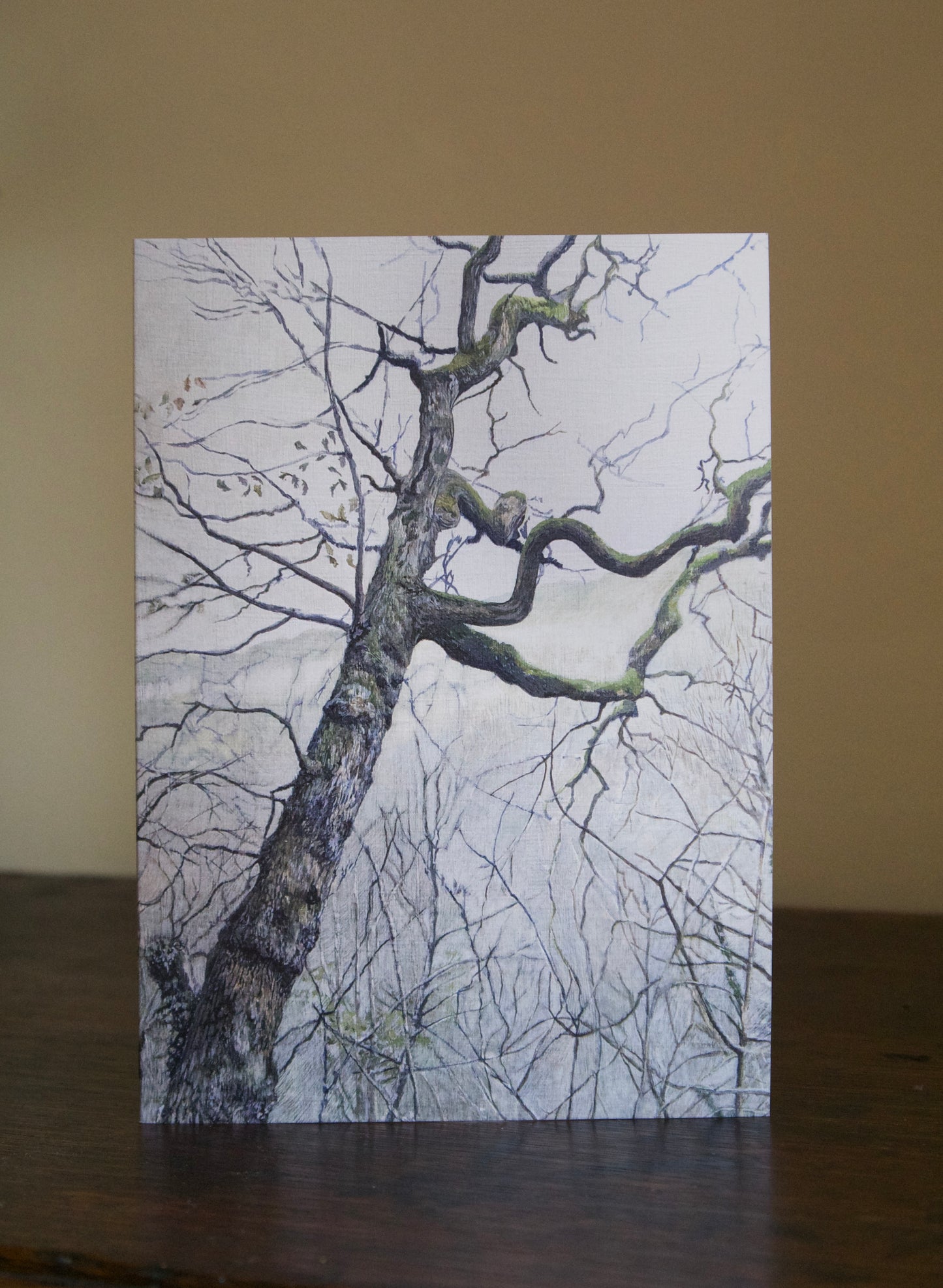 Tree, Heddon Valley Greetings Card