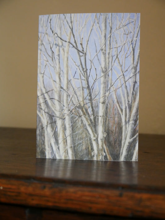 Silver Birches Greetings Card