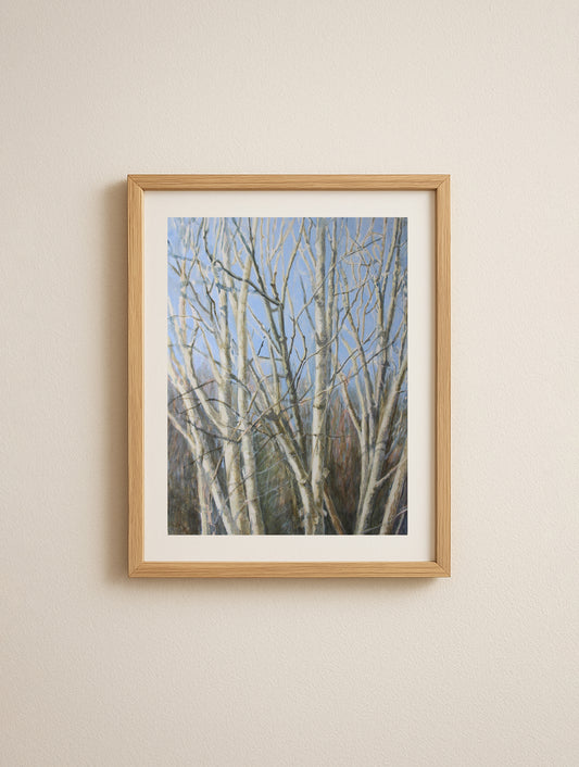 Silver Birches Giclée Fine Art Print