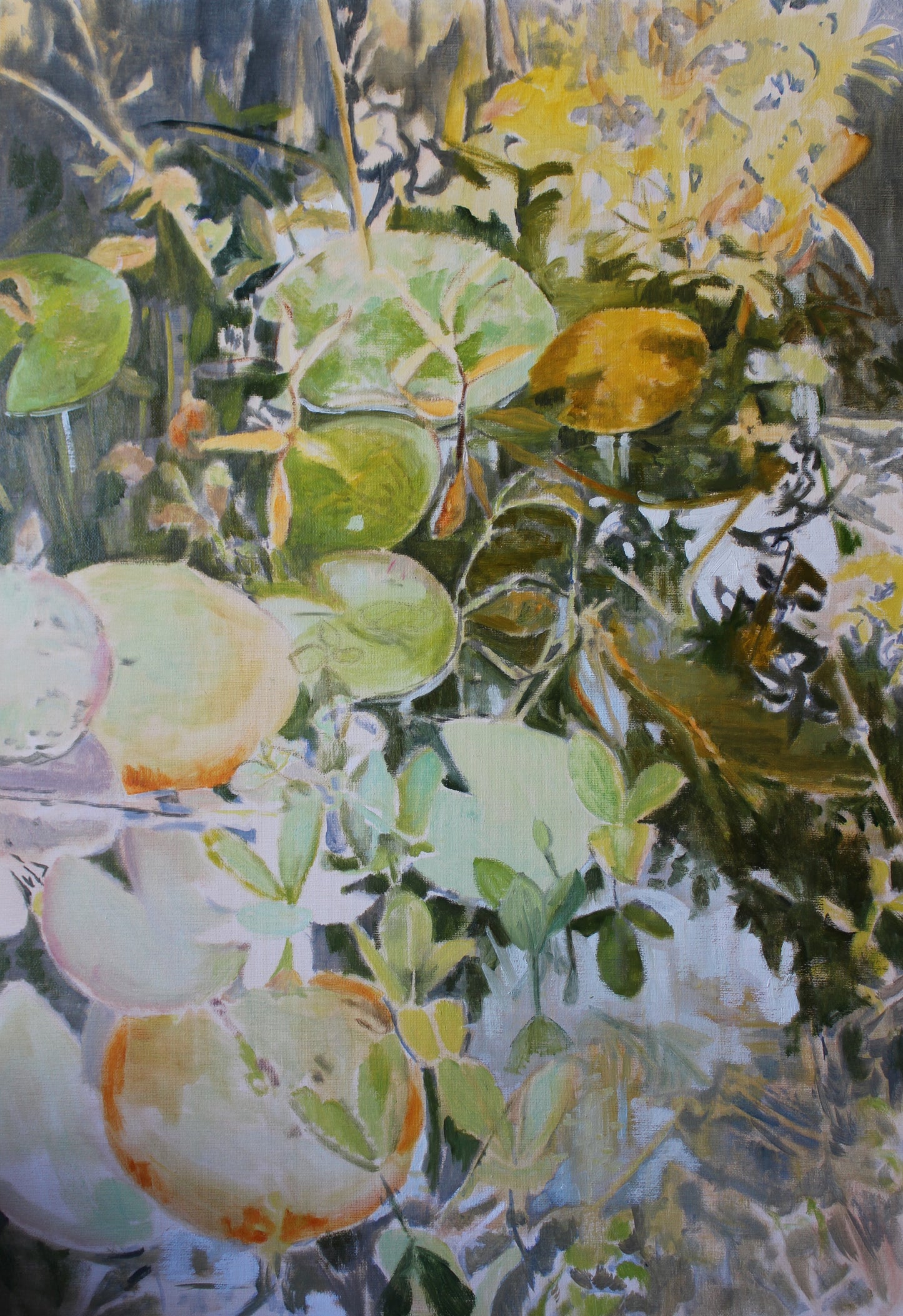 Pond in Summer 1 Giclée Fine Art Print