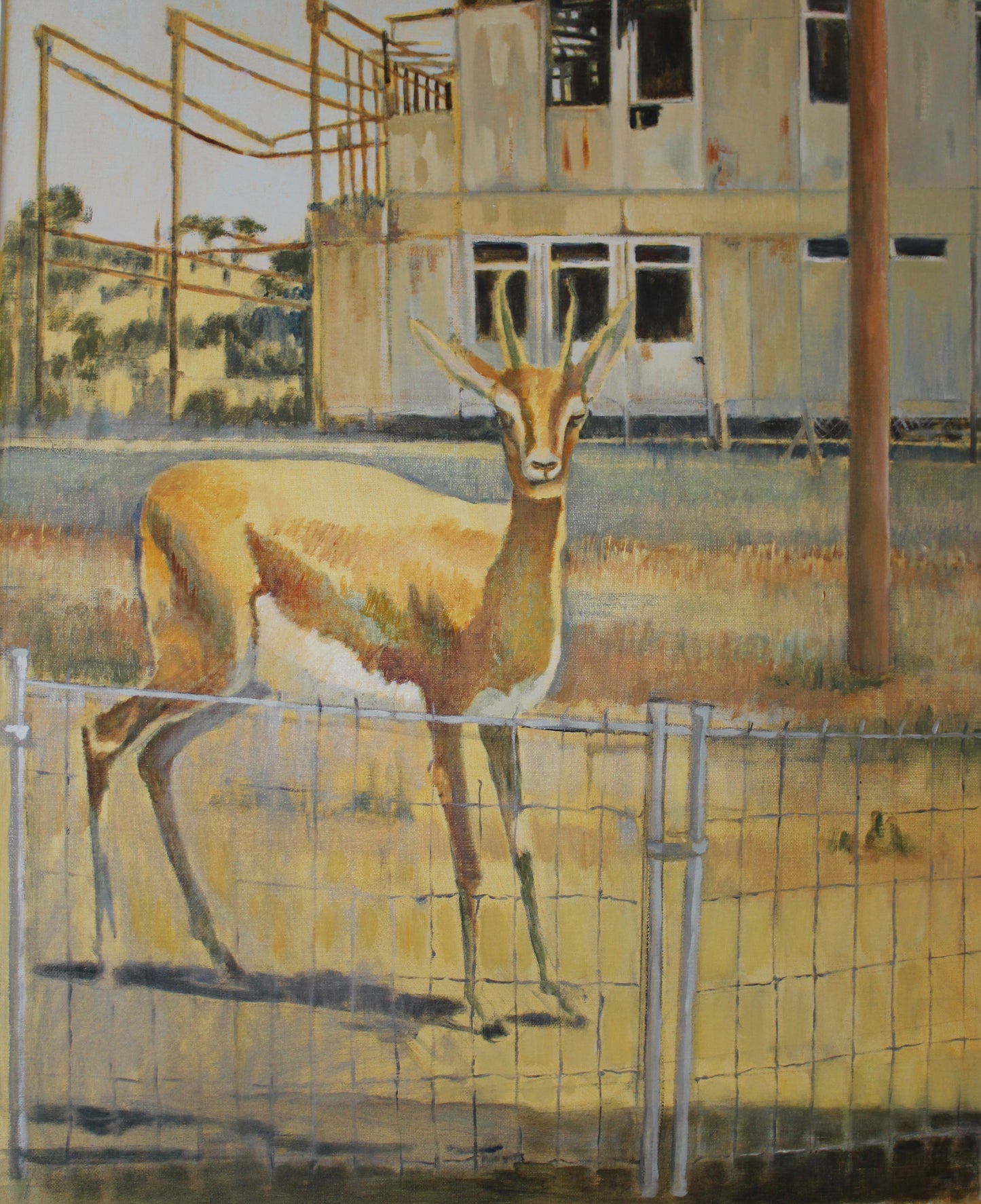 Encounter Giclée Fine Art Print