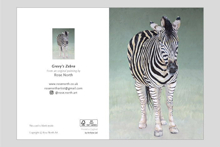 Grevy's Zebra Greetings Card