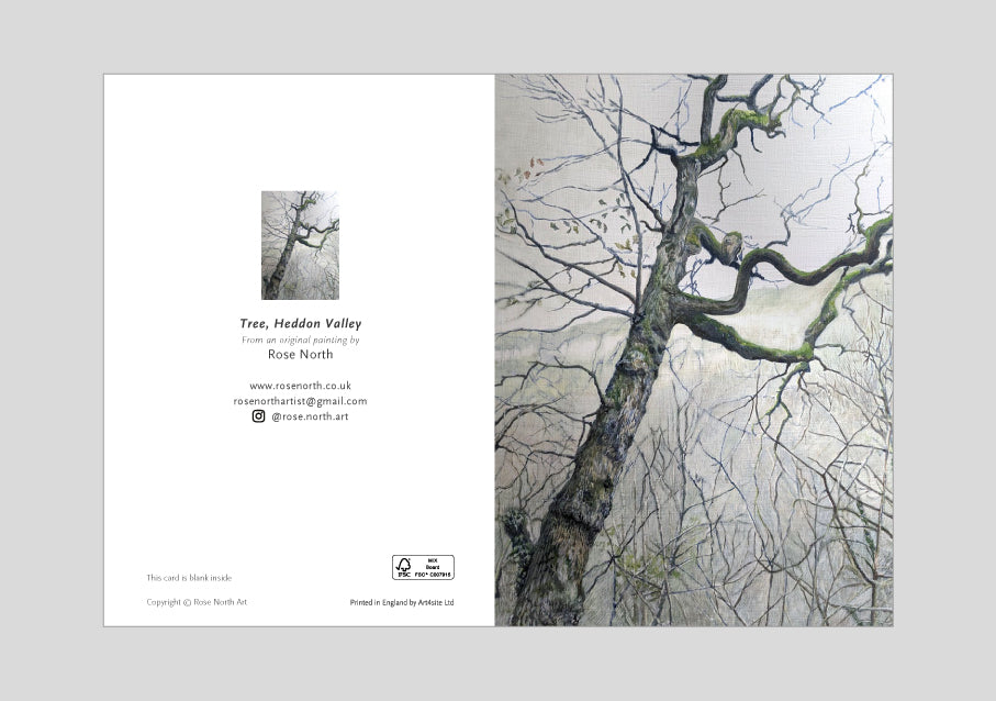 Tree, Heddon Valley Greetings Card