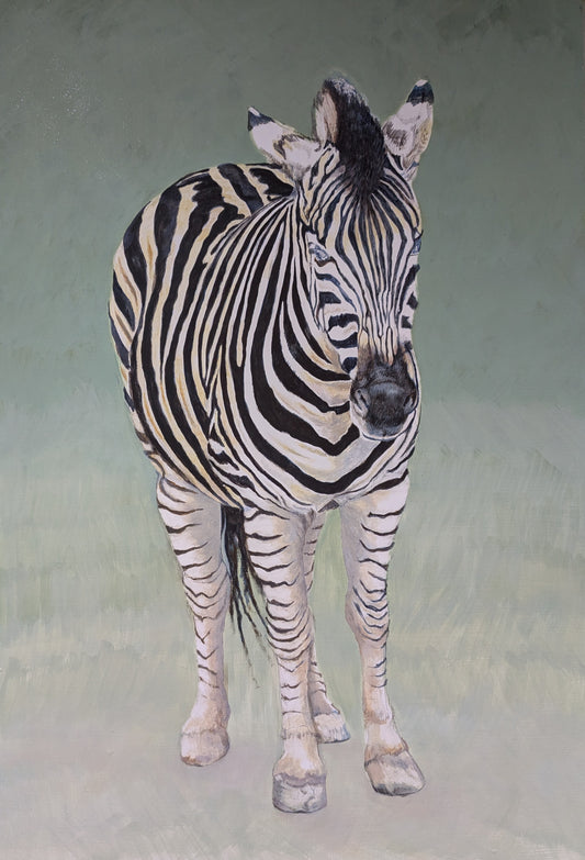 Grevy's Zebra Giclée Fine Art Print