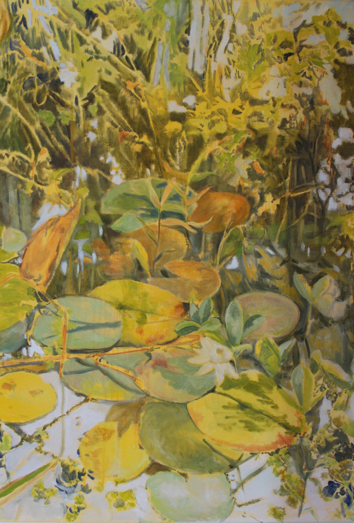 Pond in Summer 2 Giclée Fine Art Print