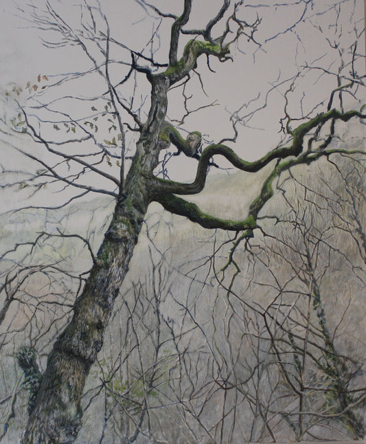 Tree, Heddon Valley Giclée Fine Art Print