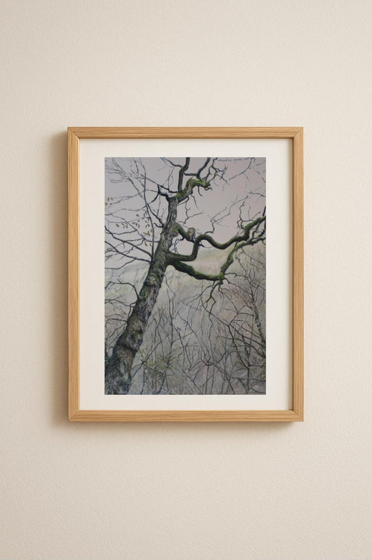 Tree, Heddon Valley Giclée Fine Art Print